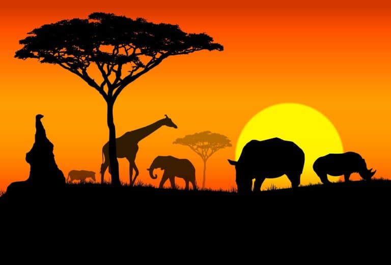 Gorillas, elephants, giraffes, and rhinoceroses silhouetted against an African sunset with acacia trees and a vibrant orange sky, capturing the beauty of wildlife safaris.
